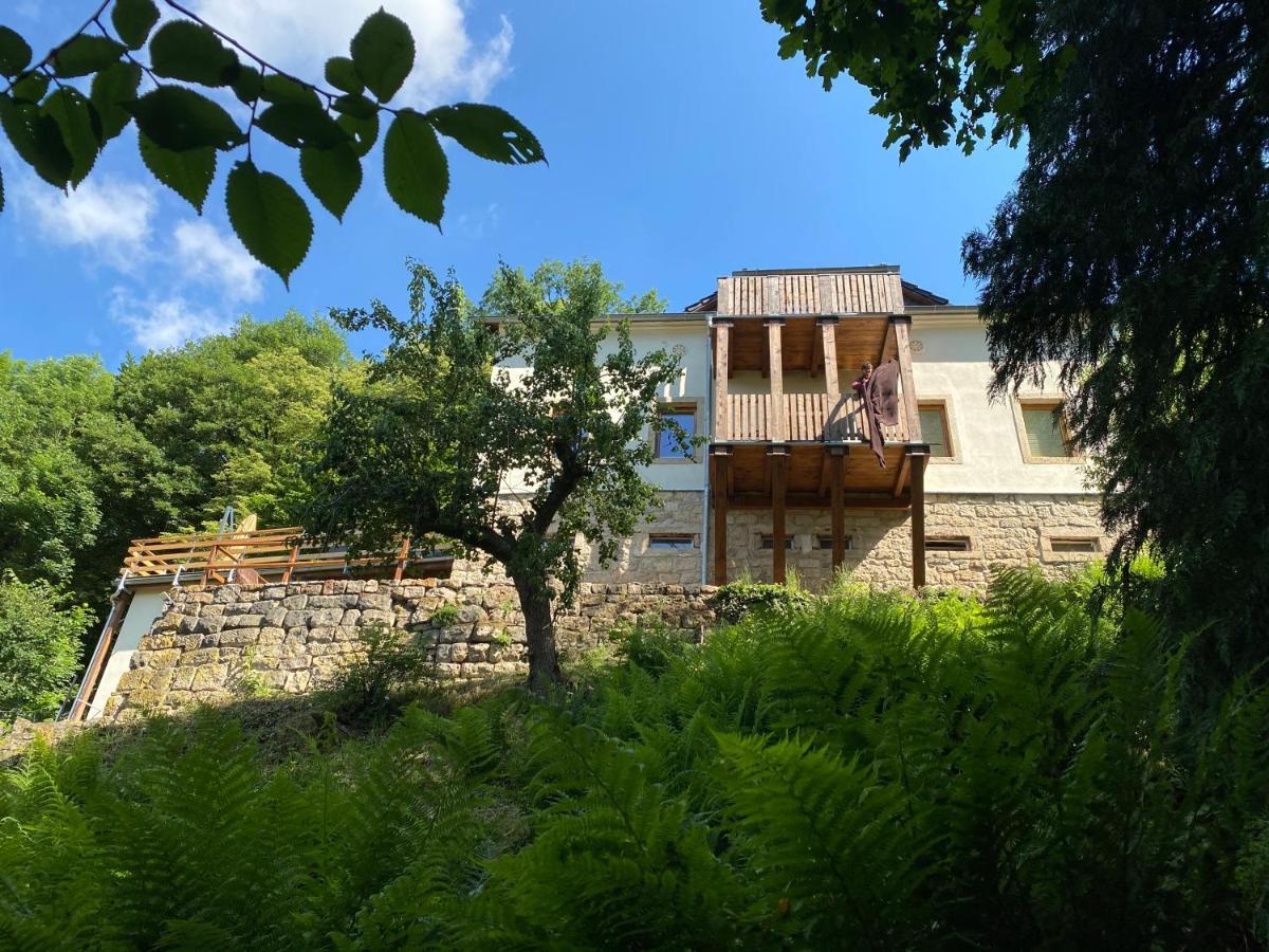 Luxusboofe - Ferienhaus Am Lilienstein Konigstein an der Elbe Ngoại thất bức ảnh